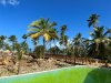 IMG_5199.jpg