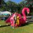 Rumrunner13
