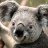 Anika_Brekke37